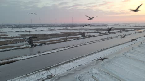 Sonnenaufgang-An-Den-Windmühlen-Von-Kinderdijk-Im-Winter-Mit-Vorbeifliegenden-Vogelschwärmen
