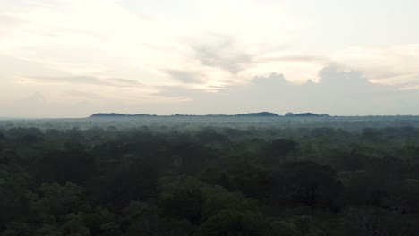Evaporación-Húmeda-Bosque-Cubierto-De-Rocío-De-La-Reserva-Nacional-De-Yala-En-Sri-Lanka