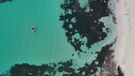 Birds-Eye-Aerial-View-of-Boat-in-Shallow-Tropical-Lagoon-by-White-Sand-Beach-on-Sunny-Day,-Point-Picquet,-Cape-Naturaliste,-Australia