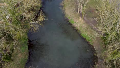 Aerial-view-of-a-pond-with-trees-from-above