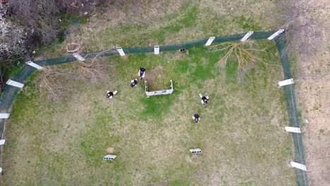 Paintball-players-spread-out-in-formation-at-the-start-of-a-match-drone-shot