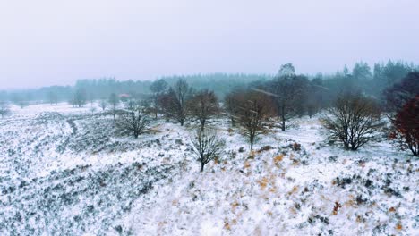Winterliche-Landschaft-Bei-Starkem-Schneefall-Und-Düsterer-Himmel-Im-Winter