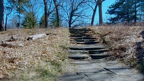 Stairs-in-the-forest-with-a-gentle-Springtime-breeze,-static