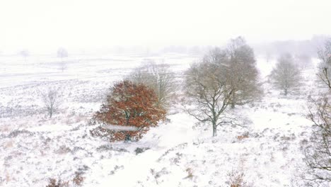 Vast-Farmland-Countryside-During-Heavy-Snowfall-Day-At-Winter