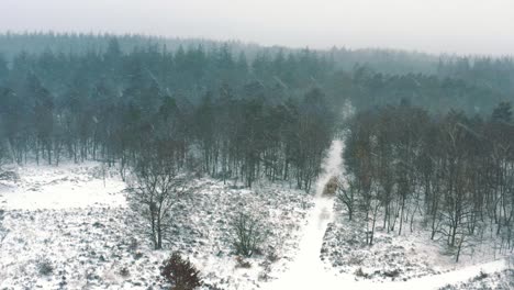 Winterliche-Landschaft-Mit-Struppigem-Nadelwald-Auf-Abgelegener-Straße