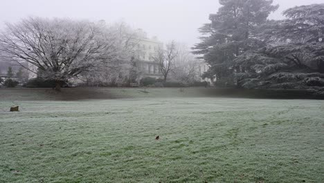 Frost-Bedeckt-Das-Gras-An-Einem-Eiskalten-Wintertag-Mit-Dunst-Und-Nebel-In-Jephson-Gardens,-Einem-Park-In-Leamington-Spa,-Warwickshire,-England