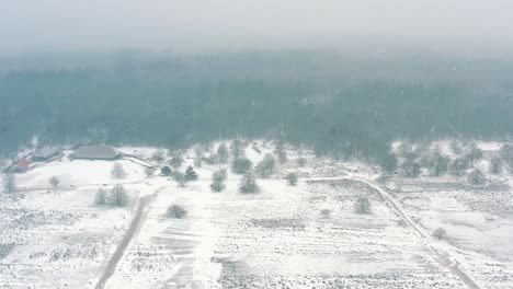 Aerial:-Ice-covered-De-Hoge-Veluwe-National-Park-forest-in-snow-fall,-panning-shot