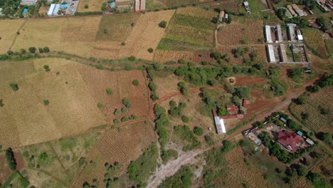 Luftaufnahme-Mit-Blick-Auf-Felder-Und-Farm-Auf-Dem-Land-Des-Sonnigen-Kenia---Verfolgung,-Drohnenaufnahme