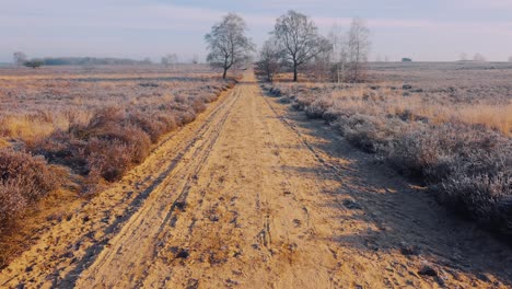 Eine-Einsame-Unbefestigte-Straße-Und-Der-Horizont,-Veluwe-nationalpark,-Niederlande,-Weitwinkelaufnahme