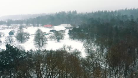 Aerial---Snowing-in-Veluwe-National-Park,-Netherlands,-wide-spinning-shot