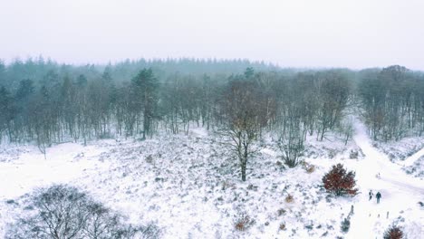 Leute,-Die-Während-Des-Verschneiten-Tages-Auf-Der-Winterlandschaft-In-Der-Nähe-Des-Landschaftswaldes-Spazieren-Gehen
