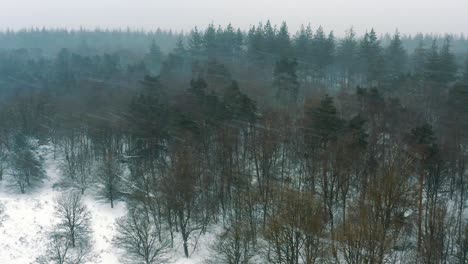 Zotteliger-Winterlicher-Wald-In-Der-Nähe-Eines-Ländlichen-Dorfes-Während-Eines-Schweren-Schneesturms