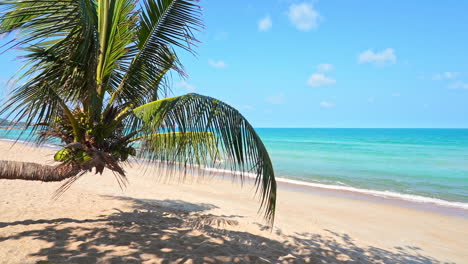 Beautiful-tropical-Caribbean-island-with-beach,-sea,-and-coconut-palm-tree-on-a-sunny-day