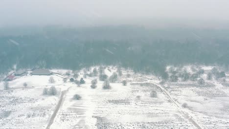 Aerial---Snowing-over-fields-in-Veluwe-National-Park,-Netherlands,-wide-shot