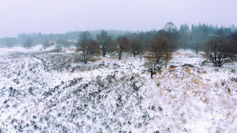 Aerial---Snow-on-the-hills-in-Veluwe-National-Park,-Netherlands,-wide-shot