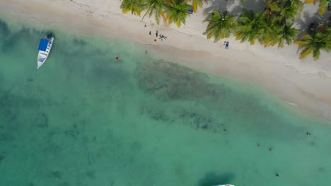 Antenne-Von-Oben-Nach-Unten-über-Den-Strand-Von-Mano-Juan-Saona-Und-Das-Türkisfarbene-Meerwasser,-Dominikanische-Republik