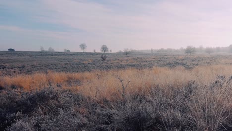 Panorama-Einer-Winterlandschaft,-Die-Tagsüber-Mit-Flauschigem-Reif-Bedeckt-Ist