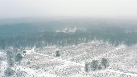 Aerial-View-Of-Snow-Covered-winter-Landscape-Over-Veluwe-National-Park