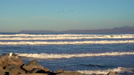Layers-of-waves-breaking-and-rolling-inshore-along-coast-during-beautiful-golden-sunset-with-seagull-sitting-in-foreground,-mountains-in-the-background-and-birds-flying-on-a-clear-sunny-blue-sky-day