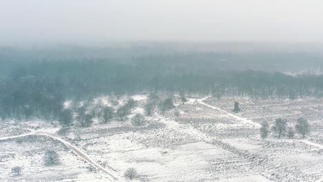 Aerial---Forest-and-Fields-covered-in-snow-in-Veluwe-National-Park,-Netherlands,-wide-shot