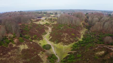 Aerial-Shot-of-a-Beautiful-Forest-in-Denmark