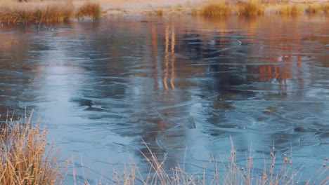 Lago-Congelado-Transparente-Con-Reflejo-De-árbol-En-El-Parque-Forestal-Durante-El-Invierno