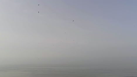 Ein-Vogelschwarm-Während-Des-Frühjahrszugs-über-Der-Offenen-Nebligen-Nordsee