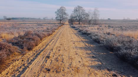 Scenic-Empty-Dirt-Country-Road-During-Sunny-Wintertime