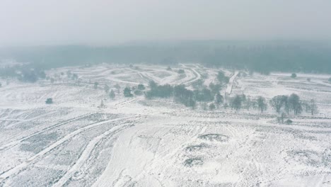 Amazing-aerial-view-of-winter-snowy-countryside-landscape,-Netherlands-national-park,-dolly-in