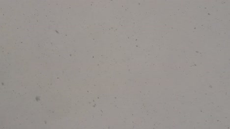 Nahaufnahme-Von-Fallenden-Schneeflocken