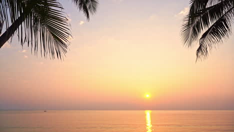 Exotischer-Blick-Auf-Den-Violetten-Sonnenuntergang-über-Dem-Meer-Mit-Der-Silhouette-Der-Palmenzweige-Im-Vordergrund
