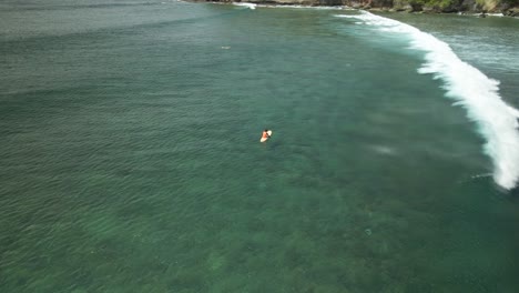 Aerial-view-of-a-surfer-sitting-on-a-surf-board-with-waves-of-a-shallow-reef-passing-by-at-Mt-Irvine-Bay,-Tobago