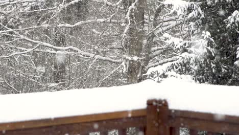 Snow-accumulates-on-deck-railing-as-snow-falls-against-forest-background