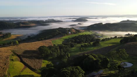 Aerial-view-of-Farmland-at-sunrise-under-beautiful-morning-mist