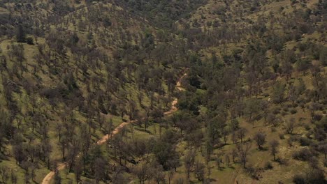 The-green-forest-of-the-Tehachapi-Mountains-in-spring---parallax-aerial-view-that-reveals-the-wider-landscape