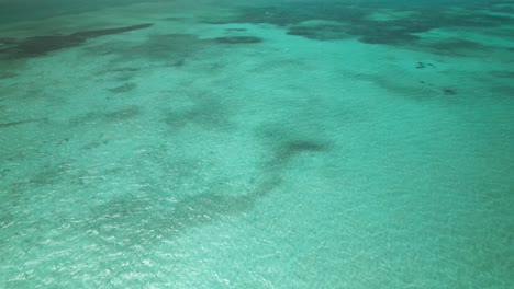 Nylon-Pool-Kristallklarer-Swimmingpool-Drohnenblick-Auf-Der-Tropischen-Insel-Tobago