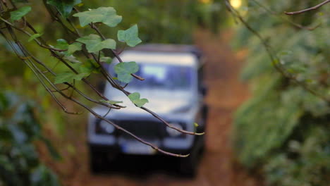 Blurred-out-Off-road-truck-driving-in-jungle,-in-Madeira---Focus-on-branches