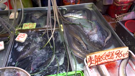 Fresh-alive-fish-and-eel-seafood-in-containers-for-sale-in-open-fish-wet-market-in-Asia,-Hong-Kong-China