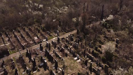 Cementerio-Abandonado,-Cubierto-De-Vegetación,-Lápidas-Misteriosas
