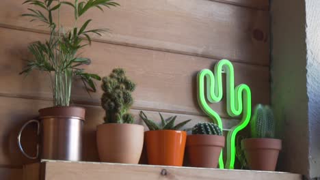 Flowerpot-Of-Cactus-And-Indoor-Plant-Display-On-Wooden-Shelf-Inside-Cafeteria