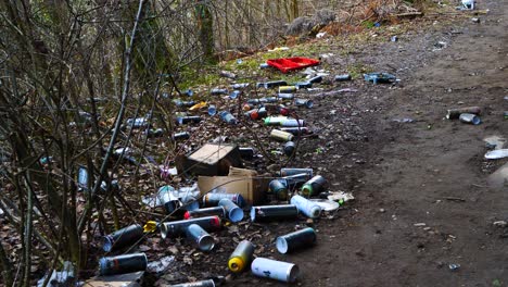 Empty-Cans-Of-Spray-Paint-Littered-On-Forest-Ground-In-Sweden