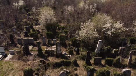 Aerial-View-Of-Old-Abandoned-Headstones.-Halloween-Background