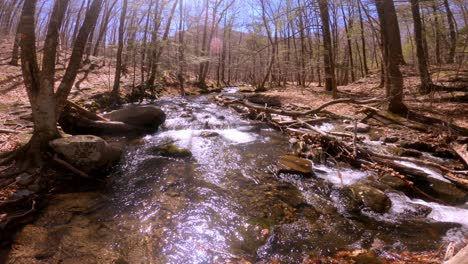 -A-beautiful,-gentle,-wide-mountain-stream-during-early-spring,-after-snow-melt,-in-the-Appalachian-mountains