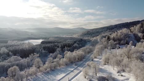 Paisaje-Invernal-Con-Bosque-De-Drones