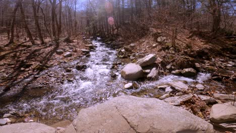 -A-beautiful,-forkes-woodland-stream-during-early-spring,-after-snow-melt,-in-the-Appalachian-mountains