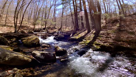 -A-beautiful-mountain-stream-during-early-spring,-after-snow-melt,-in-the-Appalachian-mountains