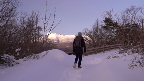 Male-traveler-hiking-through-snowy-landscape-of-Onuma-Koen-in-Hokkaido,-Japan
