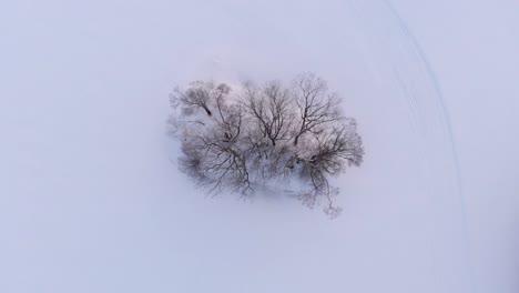 Overhead-drone-view-of-isolated-island-with-trees-on-frozen-lake