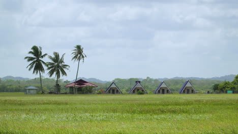 Time-lapse-cloud-and-paddy-rice-field-with-coconut-tree-and-tiny-house-at-Air-Papan-Mersing,-Malaysia