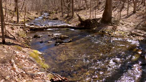 -A-beautiful,-gentle-mountain-stream-during-early-spring,-after-snow-melt,-in-the-Appalachian-mountains